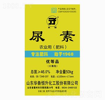 ���w������-���x-�A������