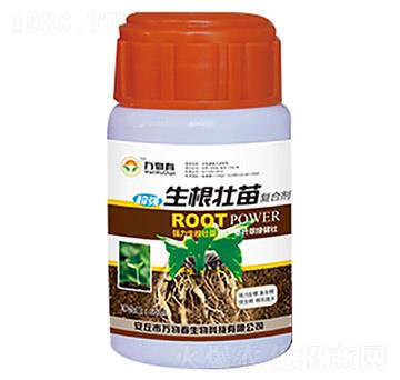 ���������(f��)�τ�-�f(w��n)�ﴺ