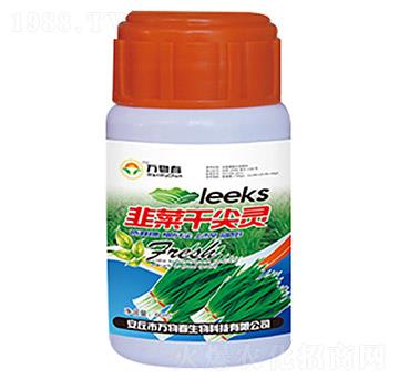 �²˸ɼ��`-�f�ﴺ