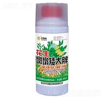 �����նհ�����-�f�ﴺ