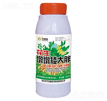 1000ml�����նհ�����-�f(w��n)�ﴺ