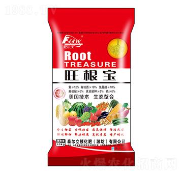 ������-�ʠ���-�л���ʯ