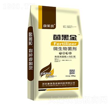 ΢�������-���ڽ�-���R��