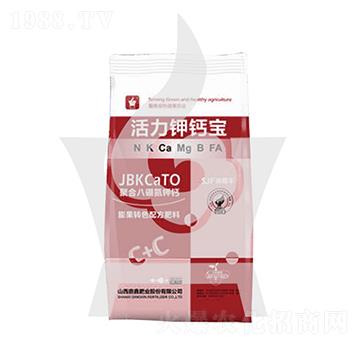 ������}��-ʩ��S-���ηʘI(y��)