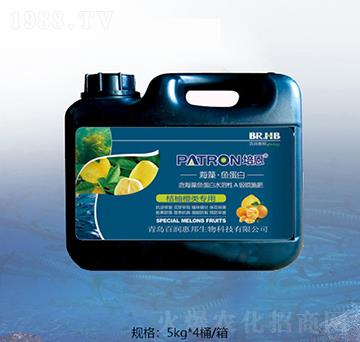 ������ٺ����~(y��)����-�ٝ�(r��n)�ݰ�