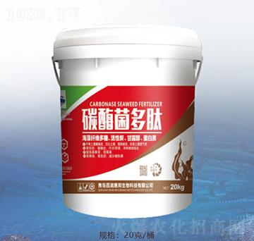 ̼ø������-�ٝ��ݰ�