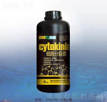 ��(x��)��������-�ٝ��ݰ�