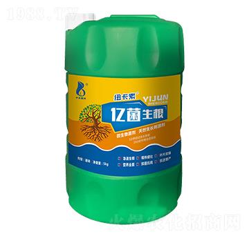 ΢�������-�|������-���r�W��