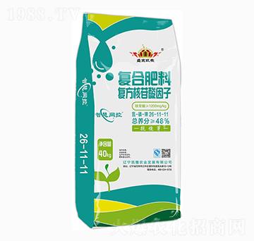 ��(f��)�Ϸ���26-11-11-ʢ���P��