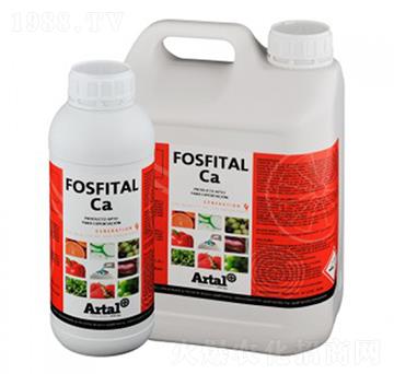 �t�������������~-����