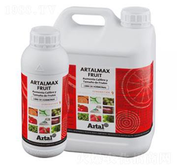 �t����������26-����