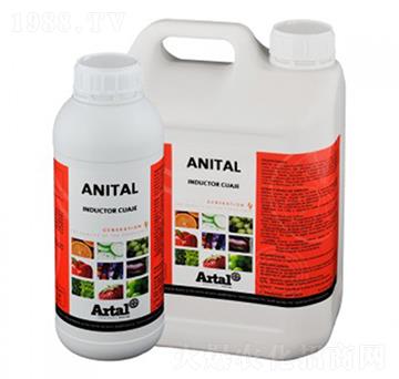 �t����������-����