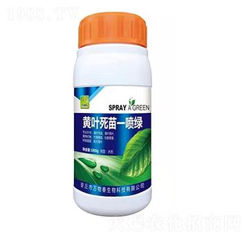 �S�~����һ���G-�f�ﴺ