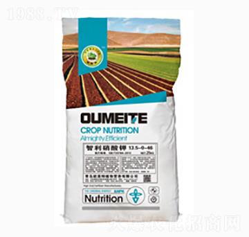 ���������-�W����