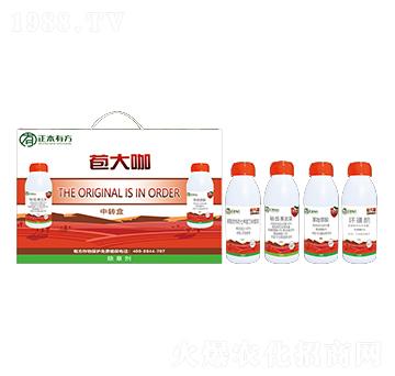 ��������݄�-����-�����з�