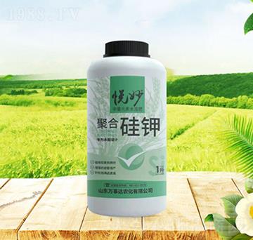 �ۺϹ��-ʩ���r(n��ng)