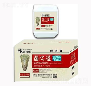 5L��֮��-���Ը��Z(y��)-�����r(n��ng)�I(y��)