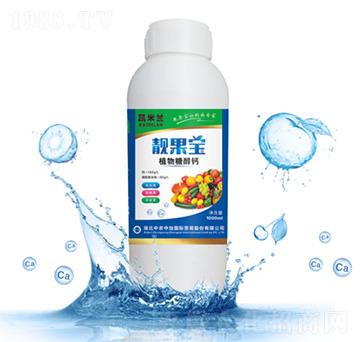 ֲ���Ǵ��}-�n����-�P���m-���r(n��ng)�м�