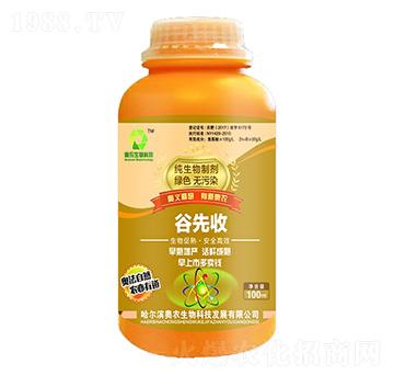 �������Ƅ�-������-�W�r����