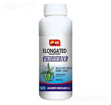 â�����L�����-�������