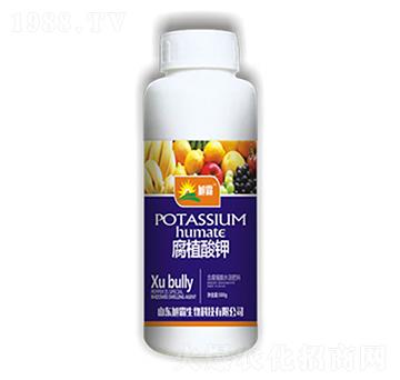 ��ֳ���-�������