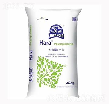 ���ĵ�-����