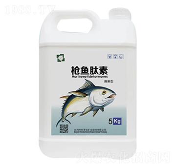 ���_�����~����-����