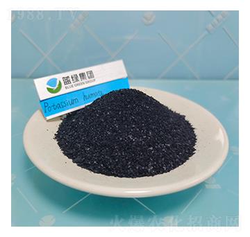 ��ֳ���-����˹����