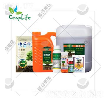 �ЙC(j��)��-��(��i)��˹����