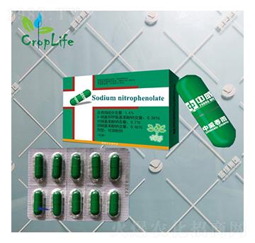 ����1̖(h��o)���z�ң�-����˹����