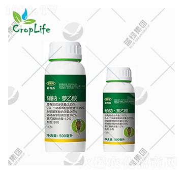 ���c������-����˹����