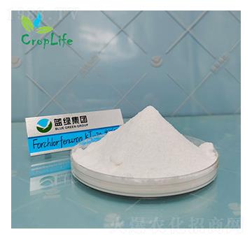 ��������-����˹����