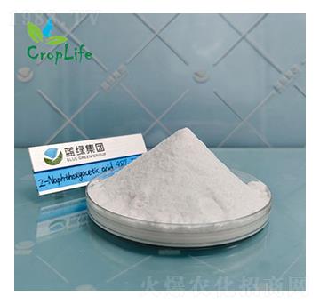 ��-��������-����˹����