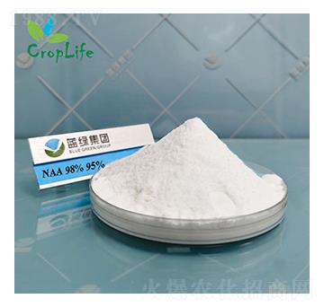 ��������-����˹����