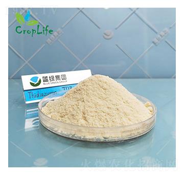 �籽¡-��(��i)��˹����