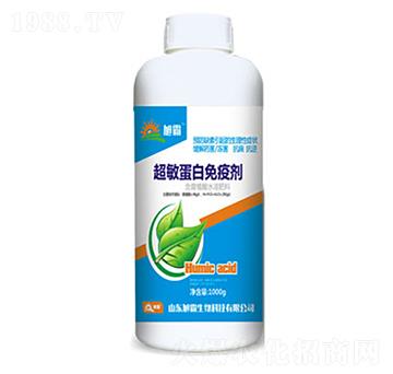 1000�˳����������߄�-�������