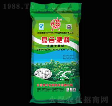 ɣ���m�Ï�(f��)�Ϸ���24-0-5-��S-���S���F