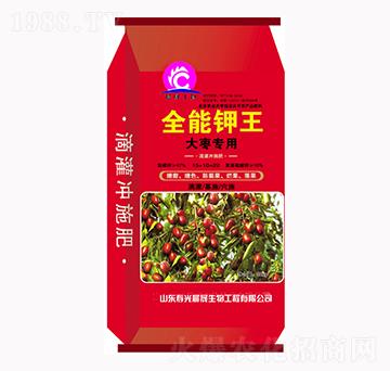 ȫ��������󗗌��ã�-��������