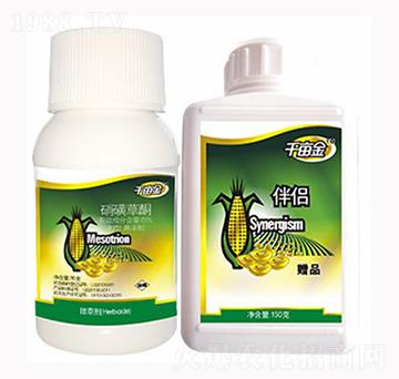 ǧ�������ǲ�ͪ-������