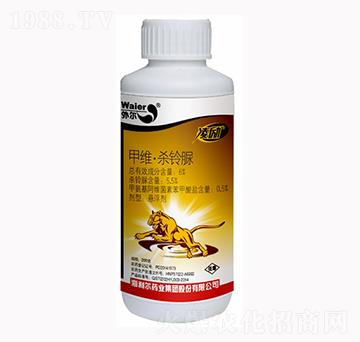 6%�׾S�����-���-������