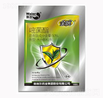 50%�Ѿ���-����-������