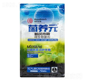 ΢�������-���B(y��ng)Ԫ-�����m�r(n��ng)�I(y��)