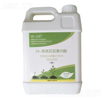 28�����|̦�؃�(n��i)��-�����m�r(n��ng)�I(y��)