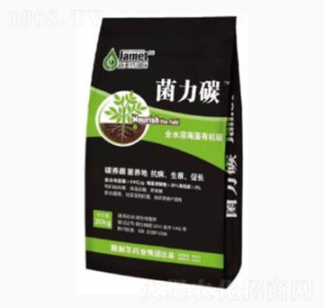 �����ЙC̼-����̼-�W��˹