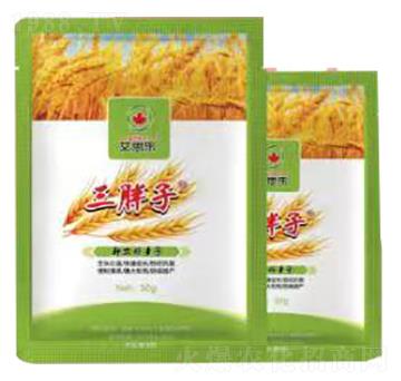 三胖子-艾思樂(lè)