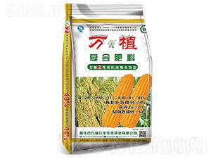 �ЙC�LЧ�͏ͺϷ�24-11-8-�fֲ2̖