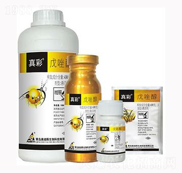 ����-���-������