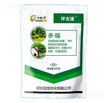 40%�ࡤ��-ƺ����-