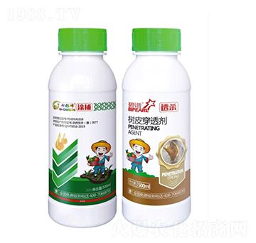 5%��Ч�ȷ������+͸