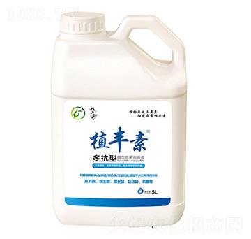 �࿹��-ֲ�S��-����������